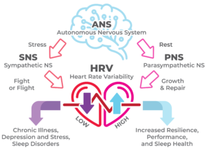hrv infographic